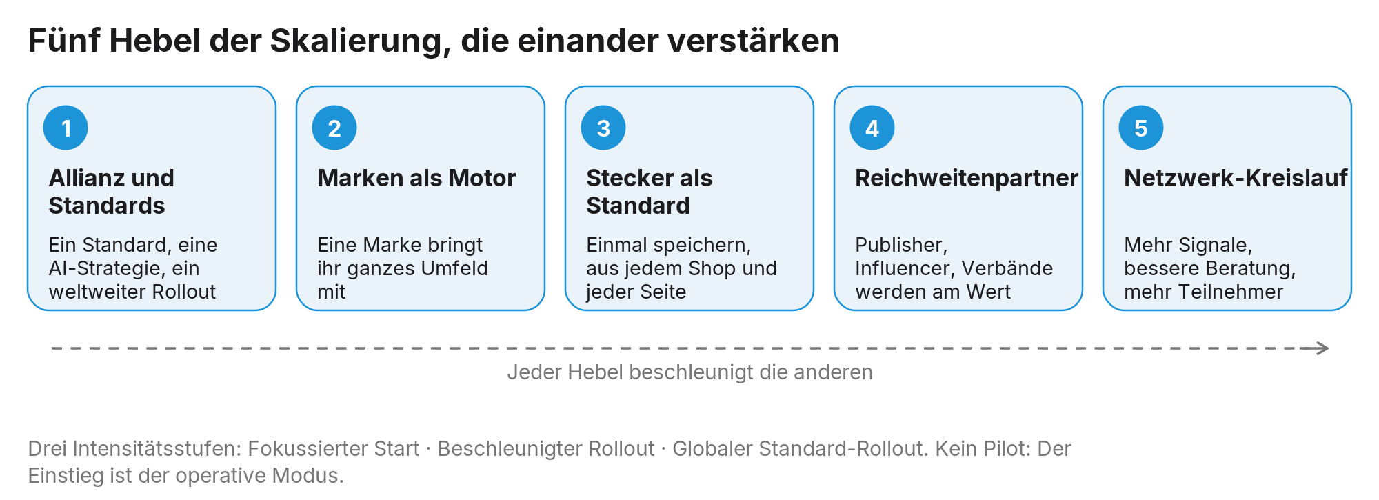 Abbildung 19: Fünf Hebel, die einander beschleunigen; die Intensität, mit der sie gefahren werden, bestimmt Tempo und Zahl der Märkte.